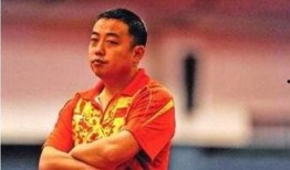 刘国梁爆料世锦赛视频,精彩瞬间背后的故事