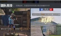 和平精英衣服爆料视频,揭秘爆料视频中的神秘时装