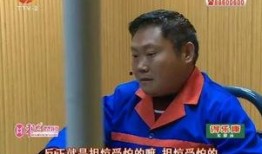 最新偷鱼爆料事件新闻视频,视频揭露惊人真相，渔民权益再引关注