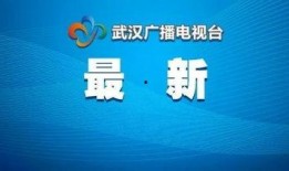 武汉新闻平台爆料事件最新,神秘事件引发社会关注，真相即将揭晓！